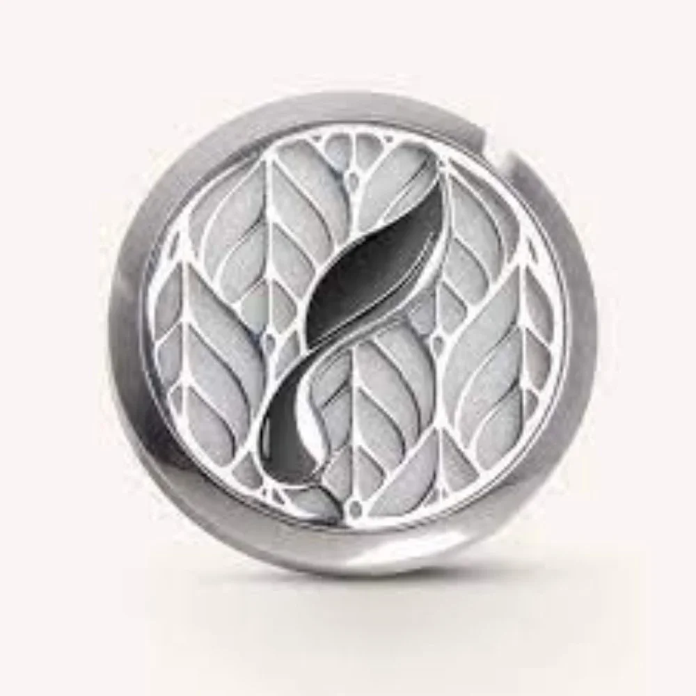 Car Vent Diffuser- set of 4 - Picture 3 of 3